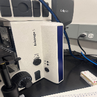 Zeiss Axioscope 5 Microscope image 0
